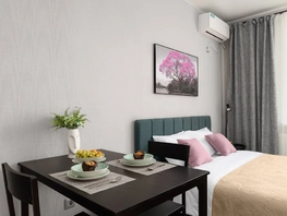 Снять однокомнатную квартиру Бородинская ул, 27  м&sup2;, 2990 рублей
