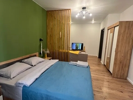 Снять однокомнатную квартиру Ярославская ул, 42  м&sup2;, 2700 рублей