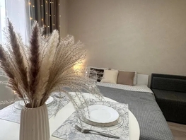 Снять однокомнатную квартиру Восточно-Кругликовская ул, 22  м&sup2;, 3000 рублей