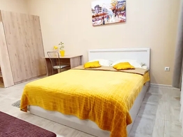 Снять однокомнатную квартиру Димитрова ул, 60  м&sup2;, 2800 рублей