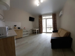 Снять однокомнатную квартиру Мирная ул, 20  м&sup2;, 3000 рублей