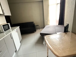 Снять однокомнатную квартиру Просвещения ул, 25  м&sup2;, 3599 рублей