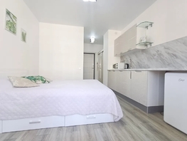 Снять однокомнатную квартиру Мирная ул, 20  м&sup2;, 4500 рублей