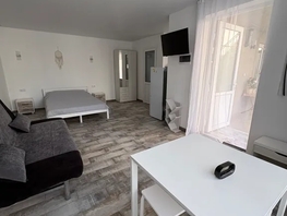 Снять однокомнатную квартиру Кубанский пер, 35  м&sup2;, 4500 рублей