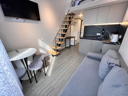 Снять однокомнатную квартиру Фермерский пер, 25  м&sup2;, 4500 рублей