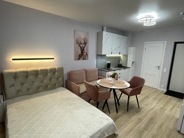 Снять однокомнатную квартиру Искры ул, 26  м&sup2;, 5000 рублей