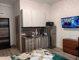 Снять однокомнатную квартиру Пирогова ул, 30  м&sup2;, 2750 рублей