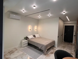 Снять однокомнатную квартиру Пластунская ул, 30  м&sup2;, 3500 рублей
