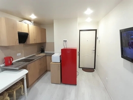 Снять однокомнатную квартиру Кубанская ул, 20  м&sup2;, 3300 рублей