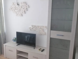 Снять однокомнатную квартиру Лысая гора ул, 30  м&sup2;, 2500 рублей
