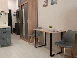 Снять однокомнатную квартиру Санаторная ул, 30  м&sup2;, 3000 рублей