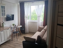 Снять однокомнатную квартиру Амбровая ул, 35  м&sup2;, 2500 рублей