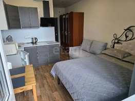 Продается Студия Восточно-Кругликовская ул, 19.4  м&sup2;, 4990000 рублей