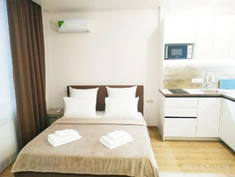 Снять однокомнатную квартиру Пионерский пр-кт, 34  м&sup2;, 6500 рублей