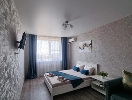 Снять однокомнатную квартиру Владимирская ул, 45  м&sup2;, 3000 рублей