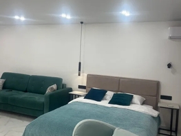 Снять однокомнатную квартиру Пионерский пр-кт, 55  м&sup2;, 4000 рублей
