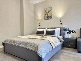 Снять однокомнатную квартиру Александрийский пер, 34  м&sup2;, 7200 рублей