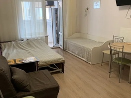Снять однокомнатную квартиру Пионерский пр-кт, 30  м&sup2;, 4300 рублей