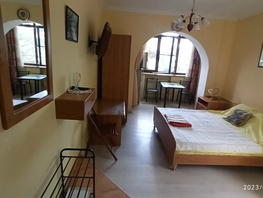Снять однокомнатную квартиру Владимирская ул, 30  м&sup2;, 2500 рублей