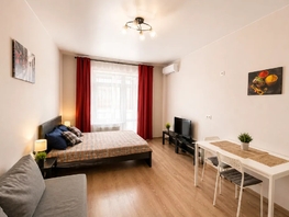 Снять однокомнатную квартиру Пионерский пр-кт, 30  м&sup2;, 4838 рублей