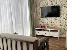 Снять однокомнатную квартиру Крепостная ул, 45  м&sup2;, 5500 рублей