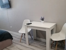 Снять однокомнатную квартиру Адмирала Крузенштерна ул, 24  м&sup2;, 2300 рублей