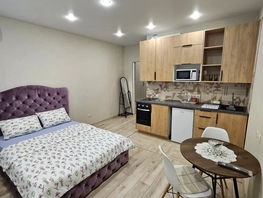 Снять однокомнатную квартиру Героя Владислава Посадского ул, 24  м&sup2;, 3800 рублей