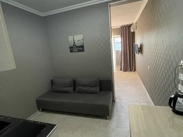 Снять однокомнатную квартиру Просвещения ул, 26  м&sup2;, 4000 рублей