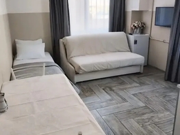 Снять однокомнатную квартиру Южных культур ул, 24  м&sup2;, 3800 рублей