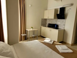Снять однокомнатную квартиру Бамбуковая ул, 19  м&sup2;, 2500 рублей