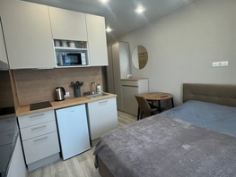 Снять однокомнатную квартиру Ясногорская ул, 19  м&sup2;, 2500 рублей