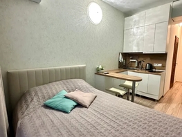 Снять однокомнатную квартиру Виноградная ул, 18  м&sup2;, 4500 рублей