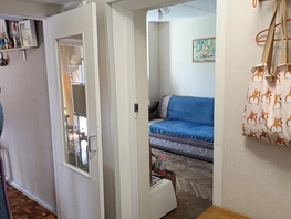 Снять однокомнатную квартиру Инжирная ул, 27  м&sup2;, 2500 рублей