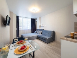 Снять однокомнатную квартиру Фермерский пер, 24  м&sup2;, 2500 рублей