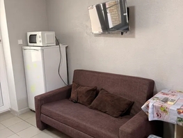 Снять однокомнатную квартиру Центральная ул, 35  м&sup2;, 2000 рублей