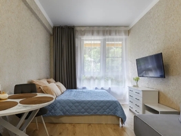 Снять однокомнатную квартиру Санаторная ул, 25  м&sup2;, 3000 рублей