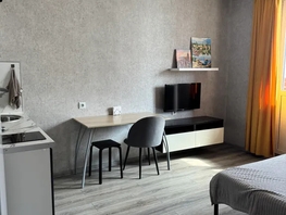 Снять однокомнатную квартиру Дзержинского пр-кт, 26  м&sup2;, 2799 рублей