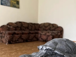 Снять двухкомнатную квартиру Героев Десантников ул, 65  м&sup2;, 2400 рублей