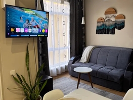 Снять однокомнатную квартиру Просвещения ул, 36  м&sup2;, 2500 рублей