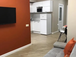 Снять однокомнатную квартиру Курортный пр-кт, 46  м&sup2;, 5800 рублей