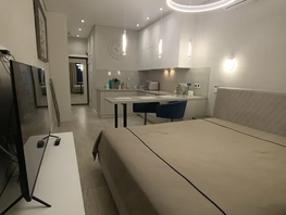 Снять однокомнатную квартиру Депутатская ул, 24  м&sup2;, 2500 рублей