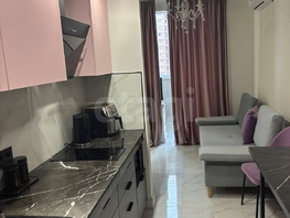 Продается Студия Героя Пешкова ул, 23.4  м&sup2;, 4700000 рублей