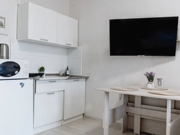 Снять однокомнатную квартиру Парковая ул, 25  м&sup2;, 2200 рублей