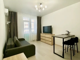 Снять однокомнатную квартиру Владимирская ул, 21  м&sup2;, 2500 рублей