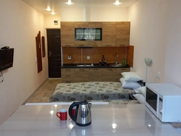 Снять однокомнатную квартиру Тенистая ул, 21  м&sup2;, 2700 рублей