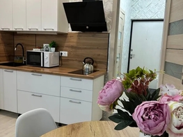 Снять однокомнатную квартиру Адмирала Пустошкина б-р, 28  м&sup2;, 2000 рублей