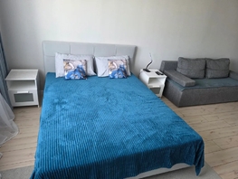 Снять однокомнатную квартиру Восточно-Кругликовская ул, 45  м&sup2;, 2700 рублей