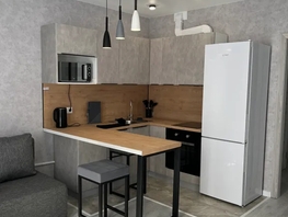 Снять однокомнатную квартиру Дмитрия Шостаковича б-р, 30  м&sup2;, 3000 рублей