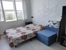 Снять однокомнатную квартиру Ленина пр-кт, 20  м&sup2;, 2500 рублей