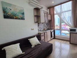 Снять однокомнатную квартиру Просвещения ул, 28  м&sup2;, 950 рублей